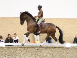 IMG_1573_web
